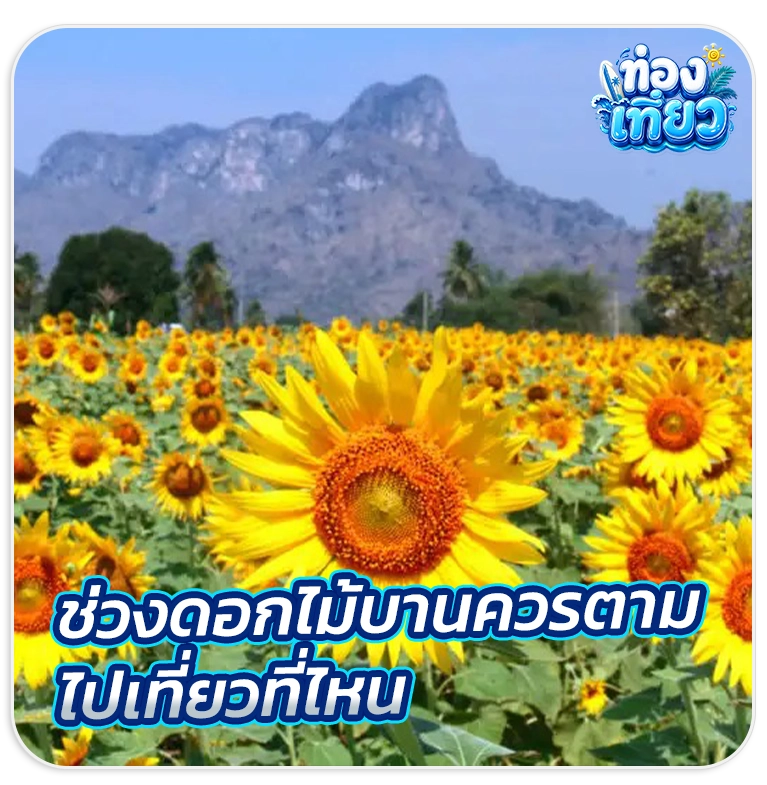 ที่เที่ยวสระบุรี 2566 พร้อม ที่พัก